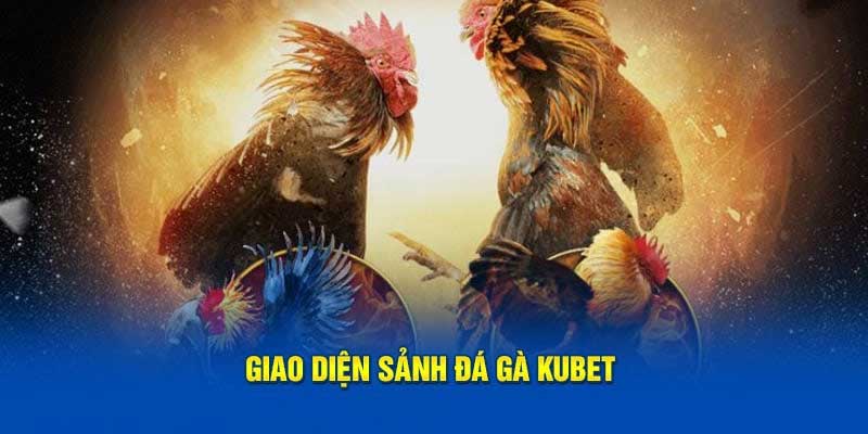 Tìm hiểu chung về đá gà KUBET