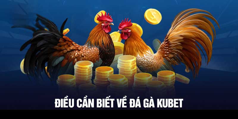 Kinh nghiệm tham gia đá gà Kubet
